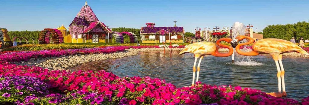 Miracle Garden Dubai