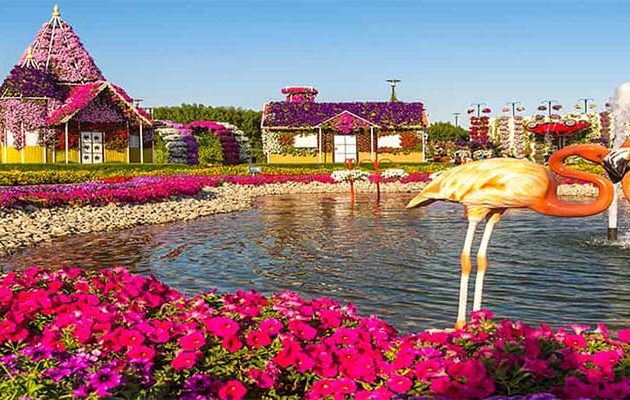 Miracle Garden Dubai