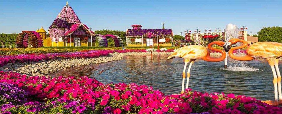 Miracle Garden Dubai